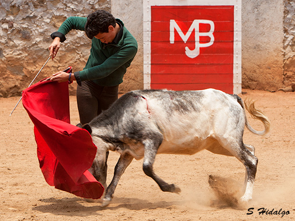 El Galo, gust�ndose