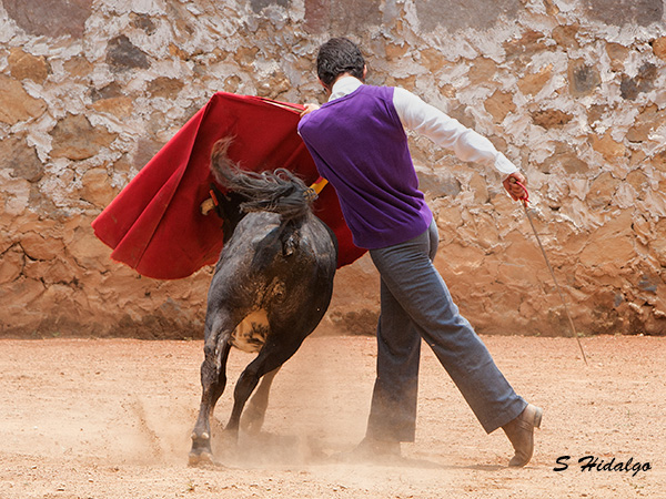 Mirafuentes, haciendo campo