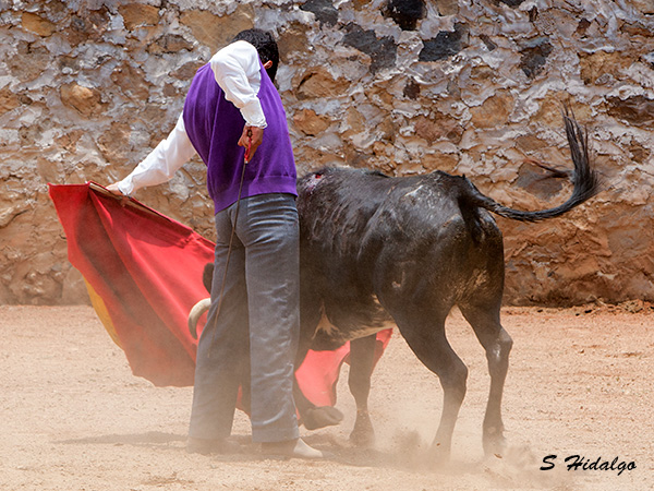 Aguantando la embestida