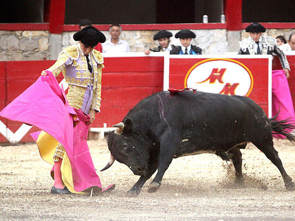 Pato Ochoa lanceando al novillo