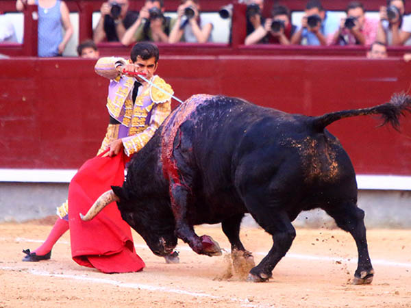 Ejecuci�n a un tiempo