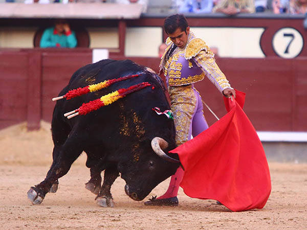 Enrredado en la faja