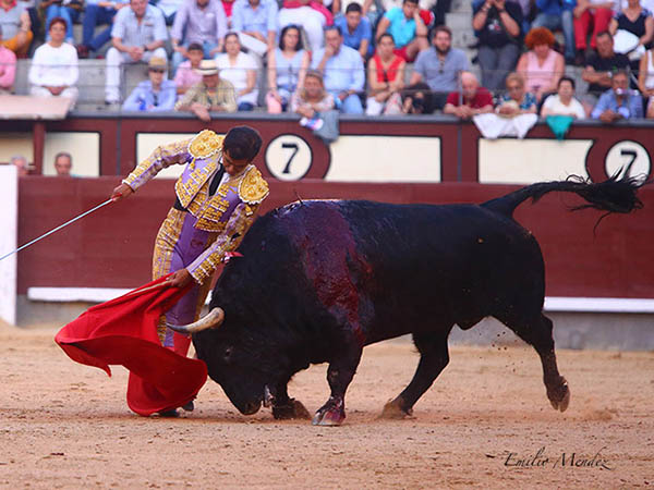 Autoridad de la experiencia