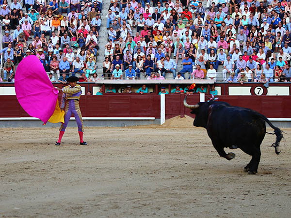 Espectacular en el quite