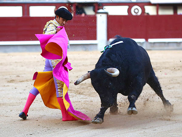 Recogiendo la embestida