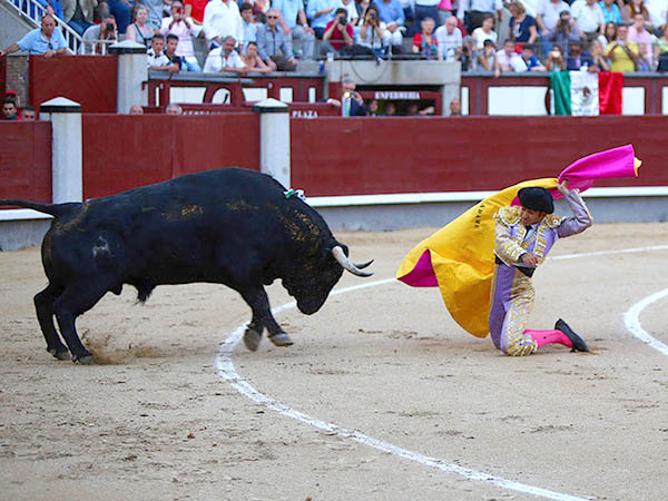 Valiente en el saludo