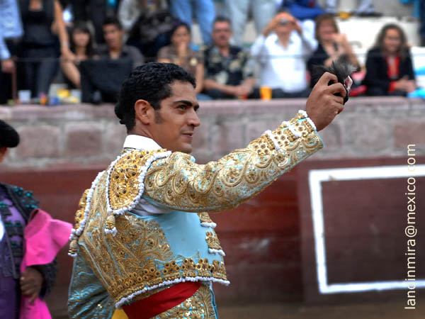Solitaria oreja a Garibay