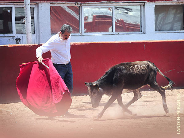 Brise�o en la faena de muleta