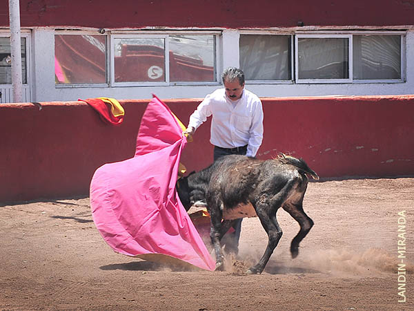 Ajustado en el quite