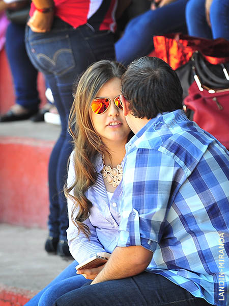 Rom�nticos taurinos