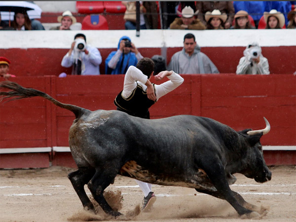 Los Recortadores Espa�oles