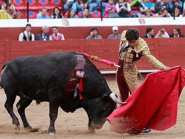 Aprovechando la oportunidad