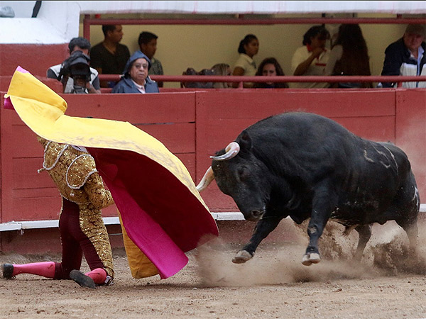 Adame busc� redondear