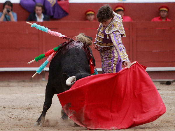 Buen momento de Gallo