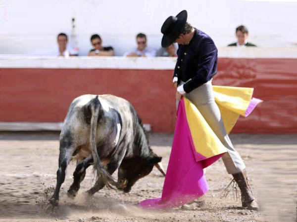 El arte de Patricio Pons