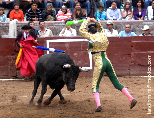 Jaleado en banderillas