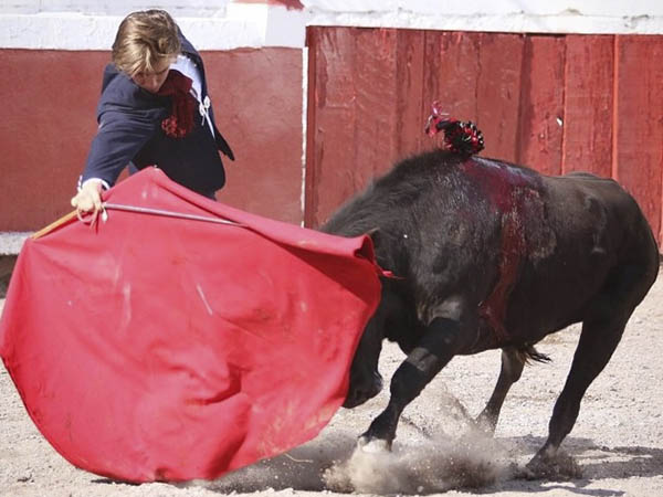 Mando de Sebasti�n Mart�nez V�rtiz