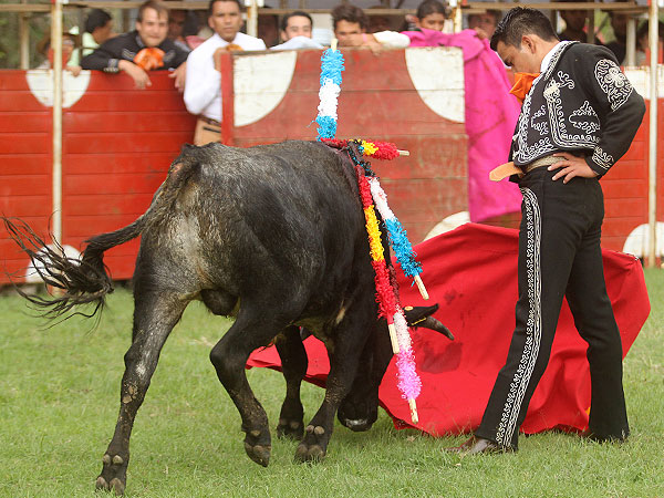 Disfrutando la embestida