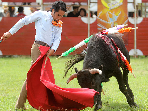 Artista en los remates