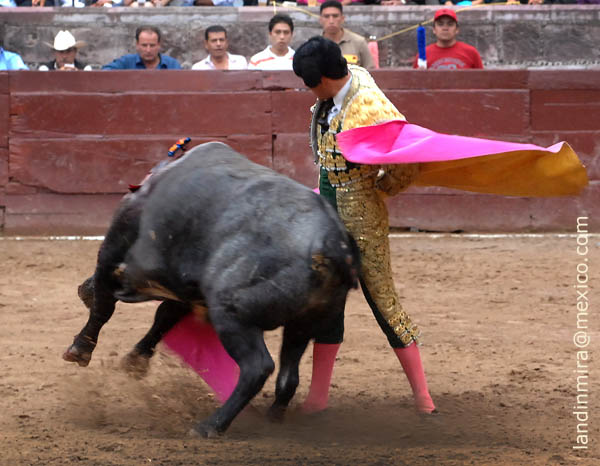 En los vuelos del capote