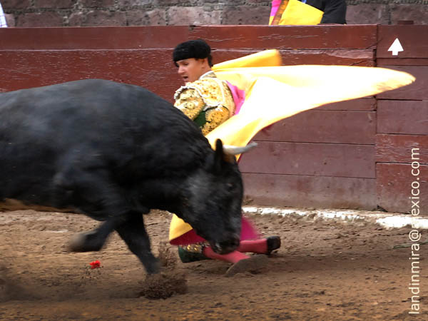 Sp�nola con el sexto