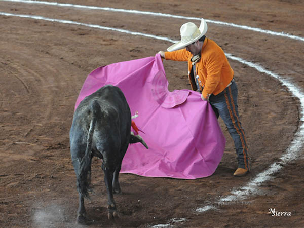 Saludo de Ra�l Graciano