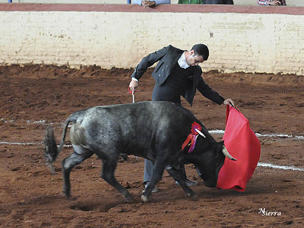 Con la yema de los dedos