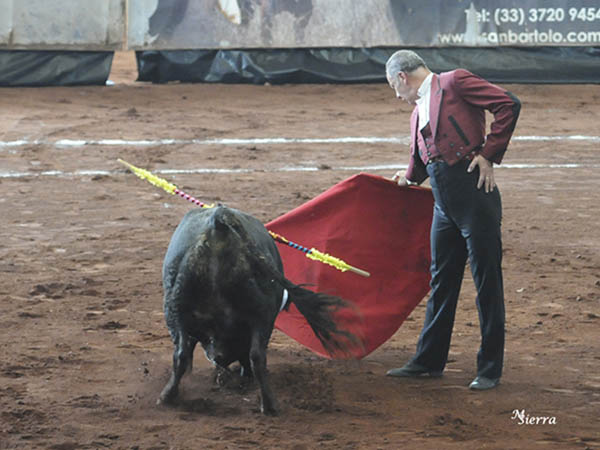 Calibrando al novillo