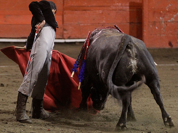 Recital de naturales