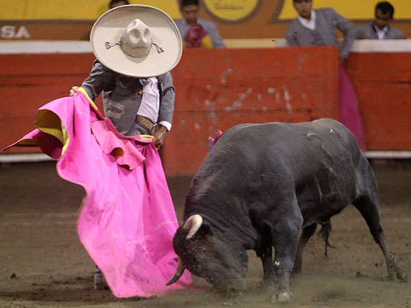 Jer�nimo a la ver�nica