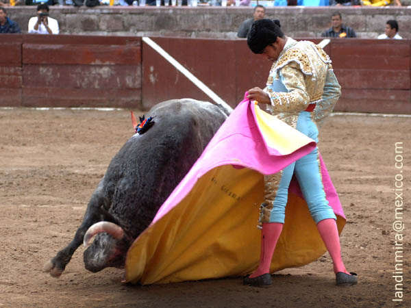 Codicia del ejemplar