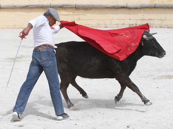 El de pecho, barriendo lomos
