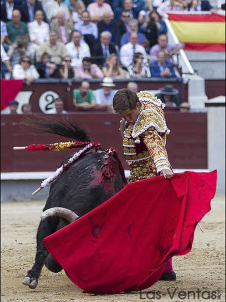 Trat� de imponerse