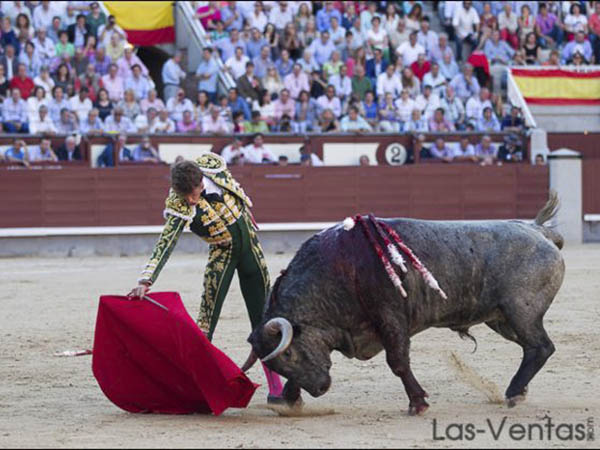 Emoci�n que provoca la bravura