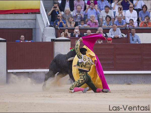 Se fue a la puerta de toriles