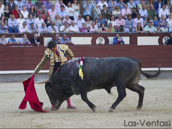 El lote m�s potable