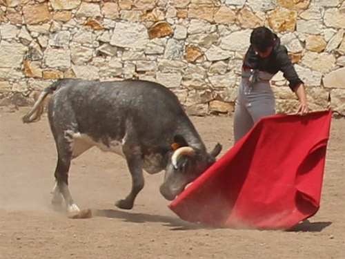 Un natural con pulso