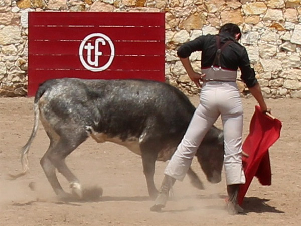 De �vila, ech�ndole tipo