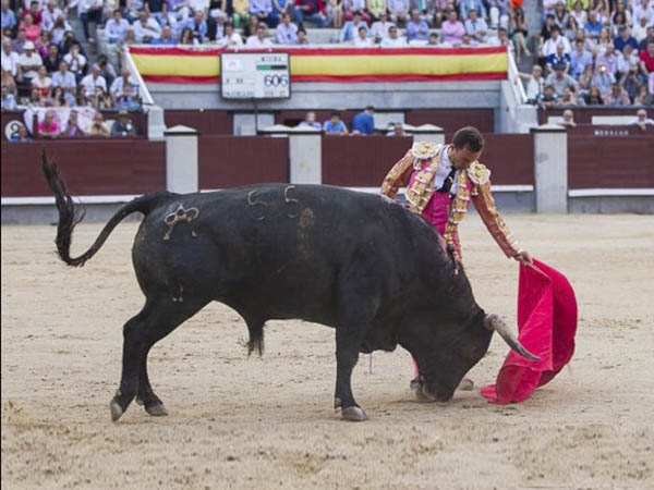 Hoy le puso la chispa Rafaelillo