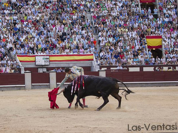 Pudo haberse esforzado m�s