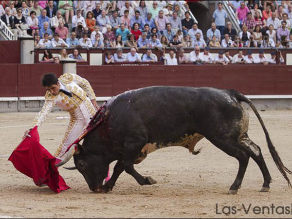 Dos entonadas faenas