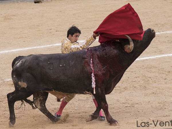 En la semana torista