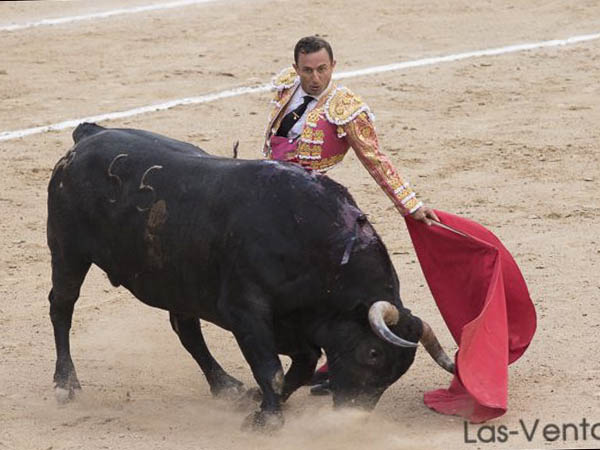 Tore� sabroso, sintiendo el toreo