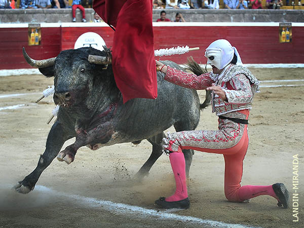 Remate rodilla en tierra