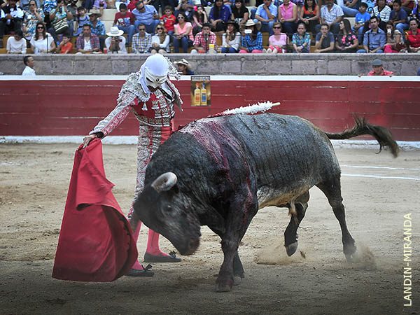 Sin duda, conoce el oficio