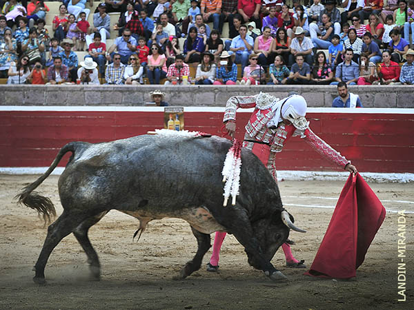 Le plant� cara al c�rdeno