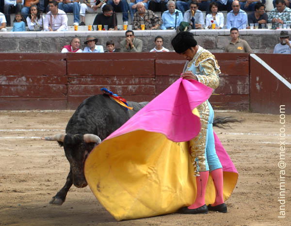 El capote de Garibay