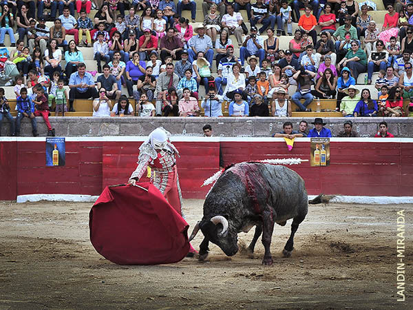 Excelente entrada en San Miguel