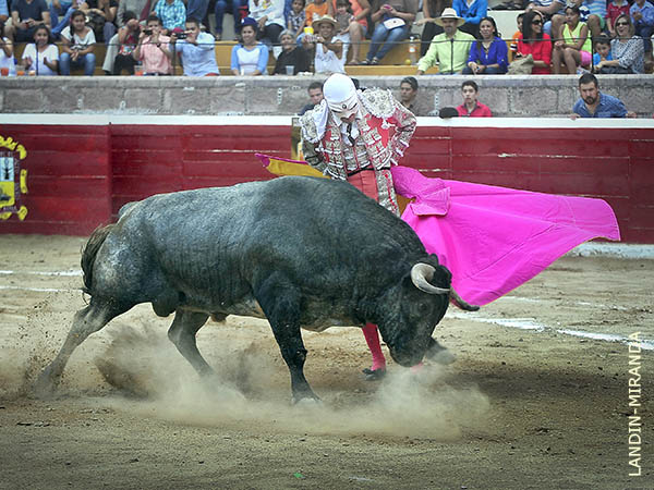 Dej�ndolo al caballo