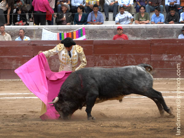 Zotoluco con el bravo 1o.